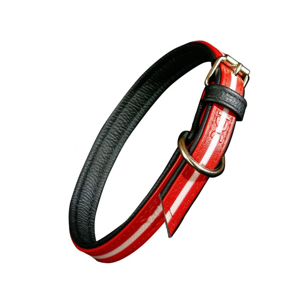 IDC LUMINO COLLAR - RED / WIDTH 2.5 CM & LENGTH 50 CM ياقة آي دي سي - Shopivet.com