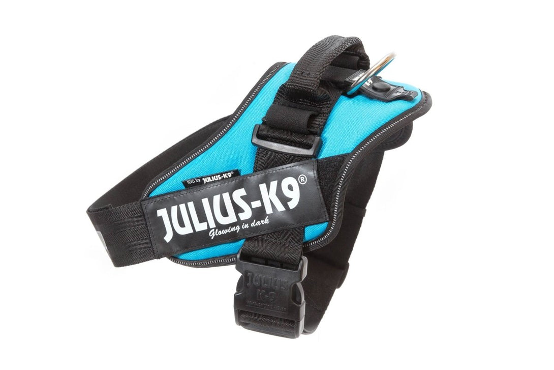 IDC POWERHARNESS - AQUAMARINE - Shopivet.com