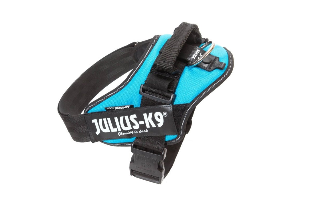 IDC POWERHARNESS - AQUAMARINE - Shopivet.com