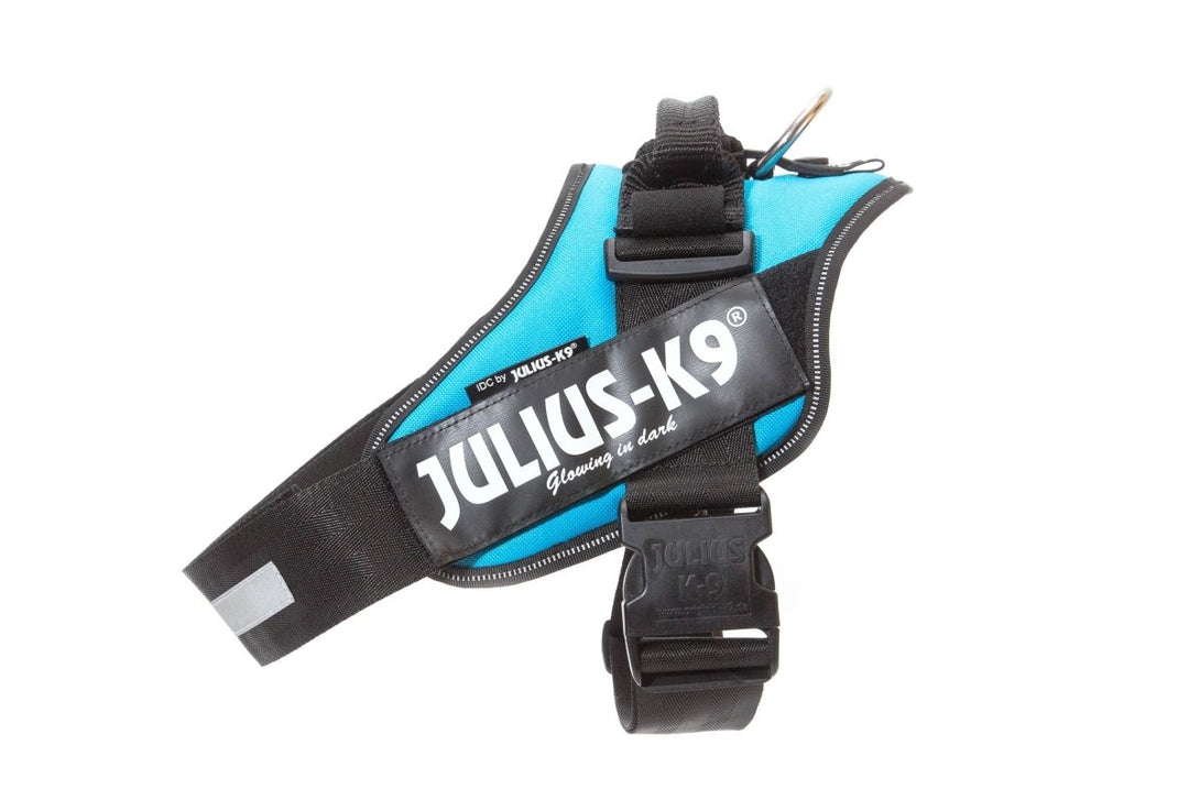 IDC POWERHARNESS - AQUAMARINE - Shopivet.com