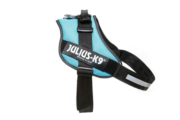 IDC POWERHARNESS - AQUAMARINE / SIZE 4 - Shopivet.com