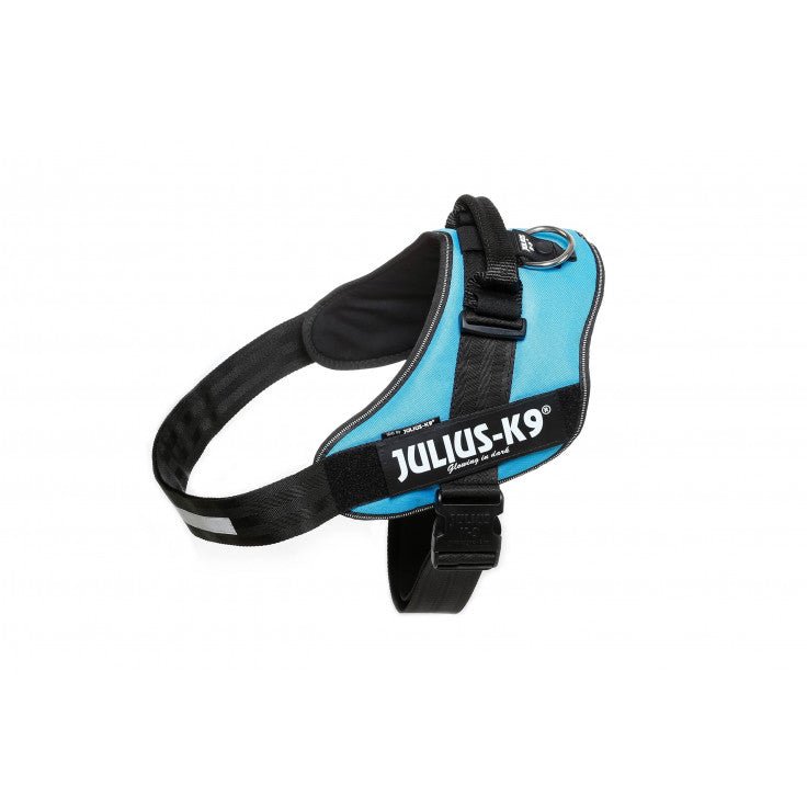 IDC POWERHARNESS - AQUAMARINE / SIZE 4 - Shopivet.com