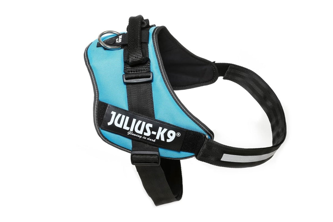 IDC POWERHARNESS - AQUAMARINE / SIZE 4 - Shopivet.com