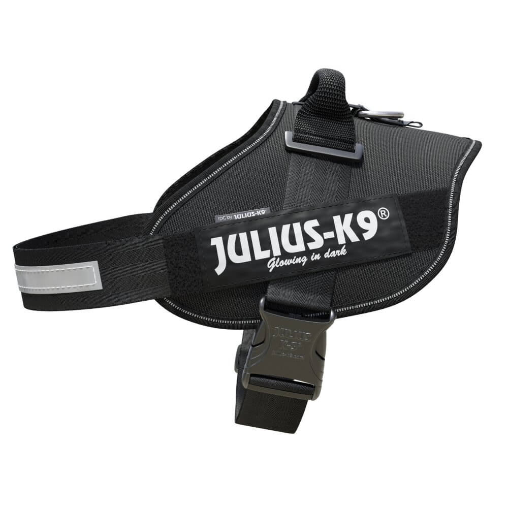 IDC POWERHARNESS - BLACK - Shopivet.com