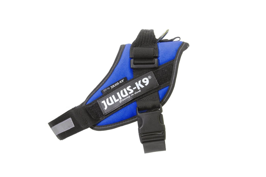 IDC POWERHARNESS - BLUE - Shopivet.com