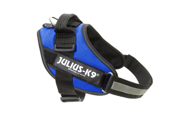 IDC POWERHARNESS - BLUE - Shopivet.com