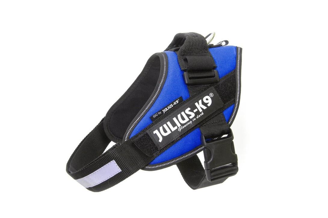 IDC POWERHARNESS - BLUE - Shopivet.com