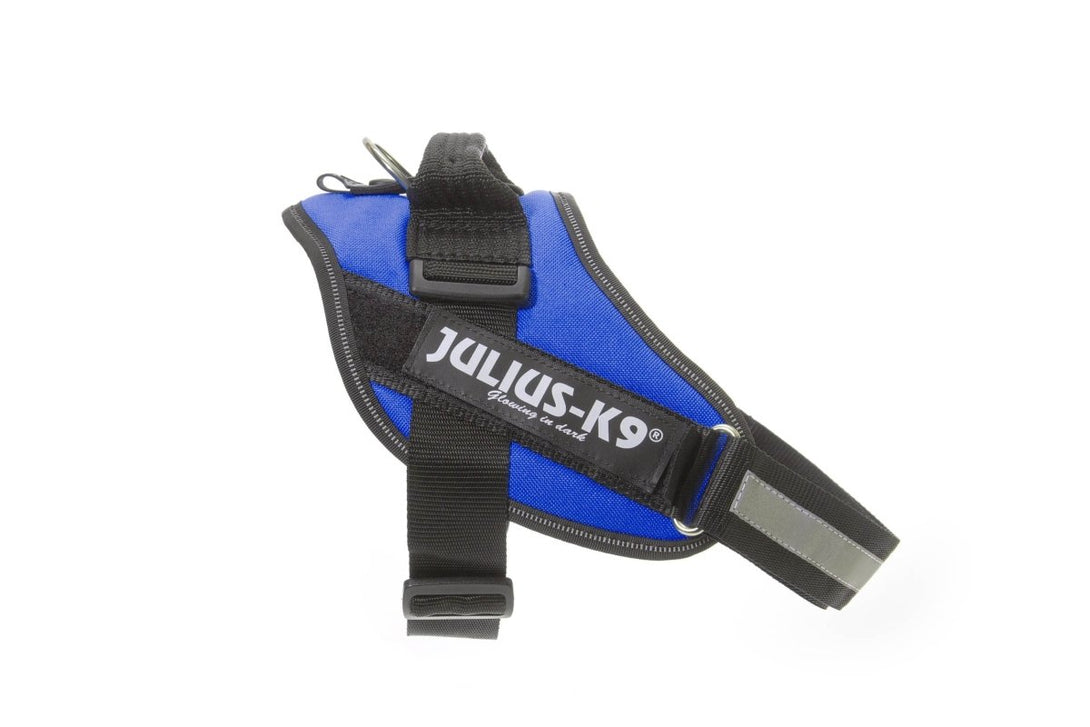 IDC POWERHARNESS - BLUE - Shopivet.com