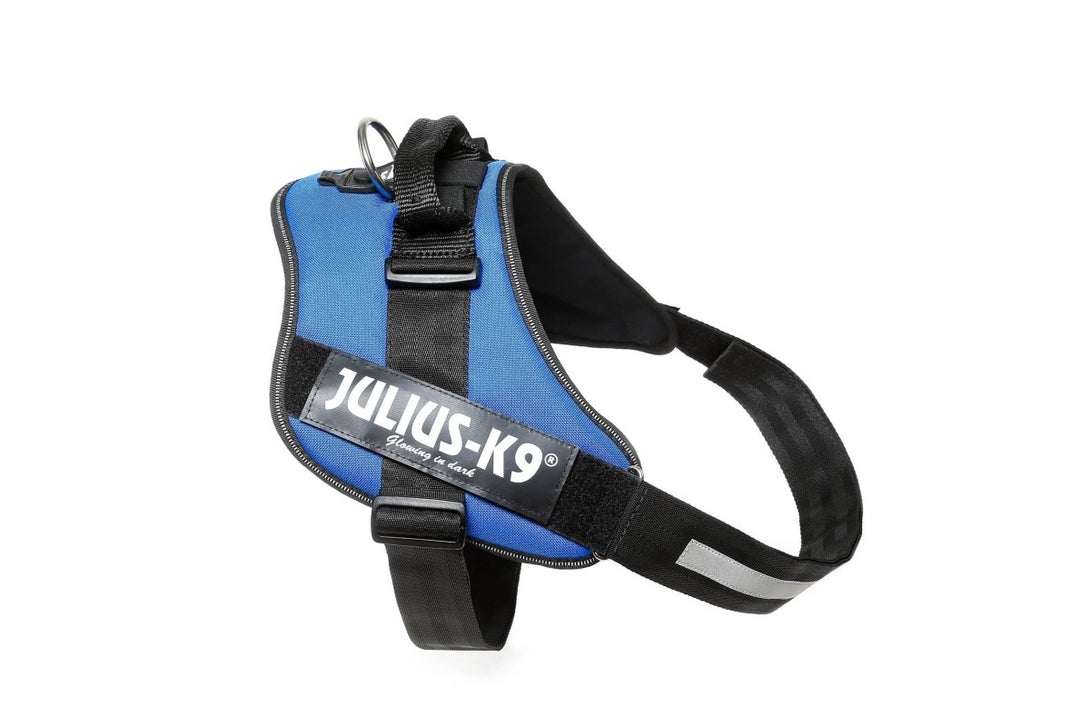 IDC POWERHARNESS - BLUE / SIZE 4 - Shopivet.com