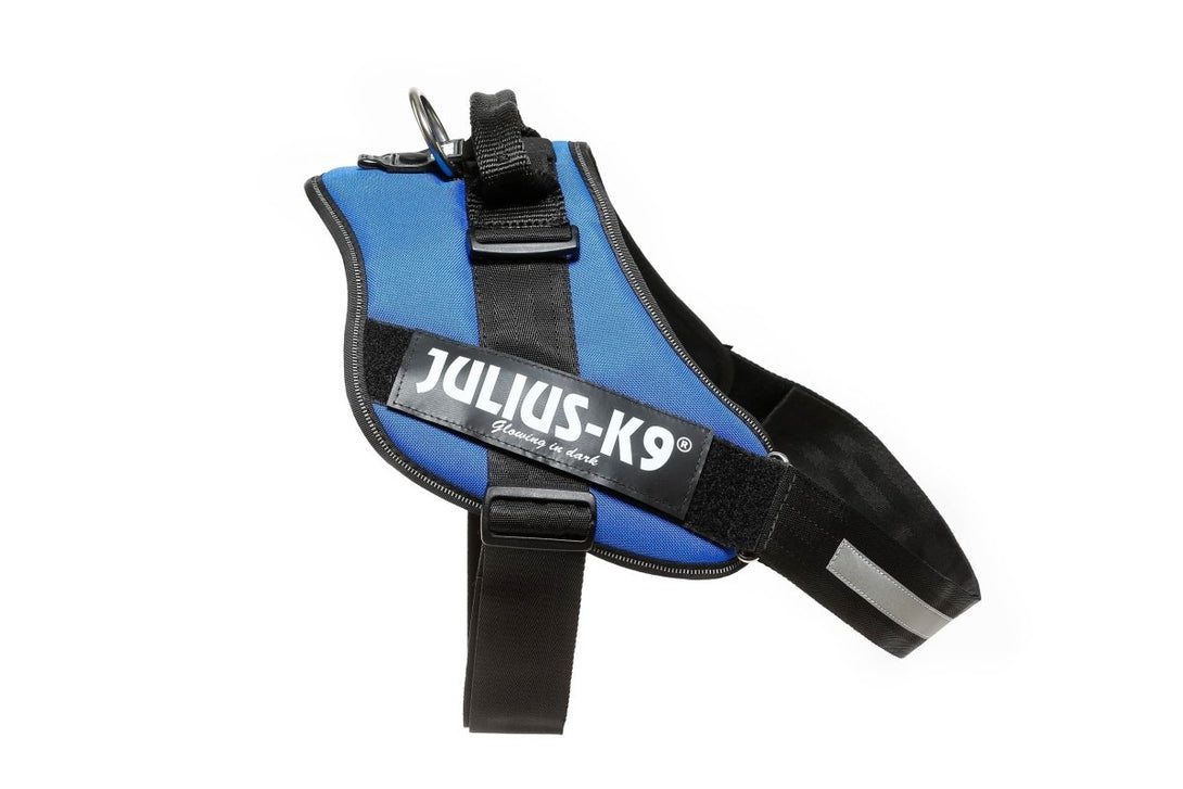 IDC POWERHARNESS - BLUE / SIZE 4 - Shopivet.com