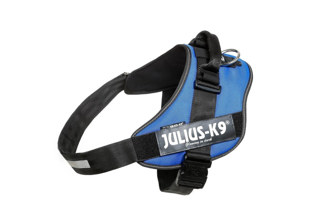 IDC POWERHARNESS - BLUE / SIZE 4 - Shopivet.com