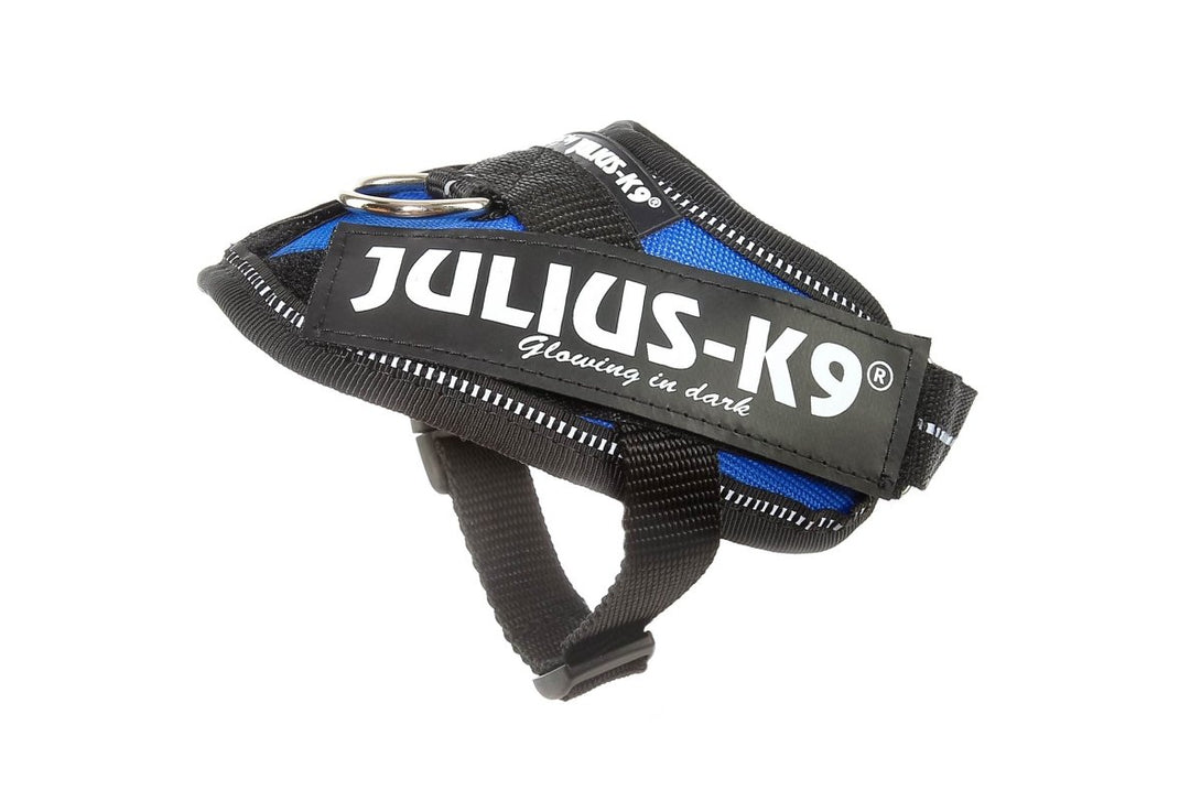 IDC POWERHARNESS - BLUE / SIZE BABY 1 - Shopivet.com