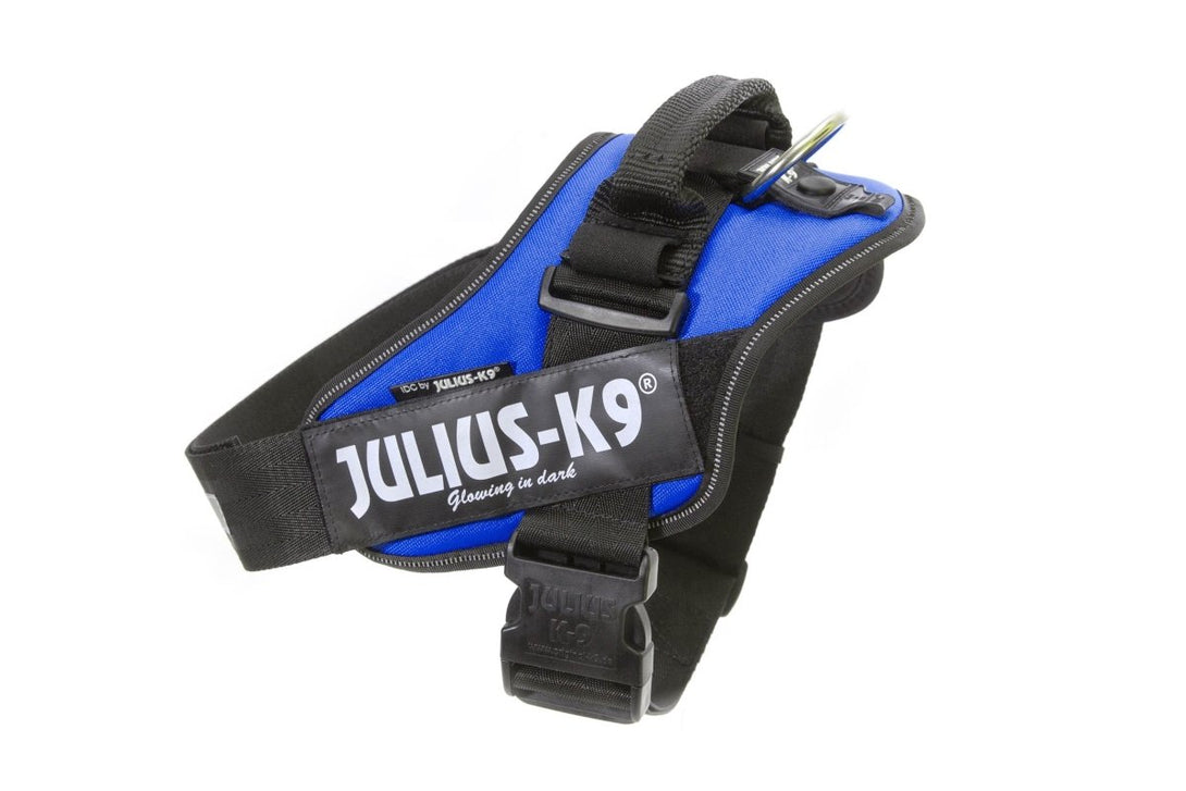 IDC POWERHARNESS - BLUE / SIZE BABY 2 - Shopivet.com