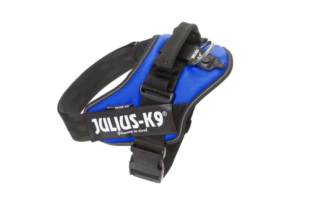 IDC POWERHARNESS - BLUE / SIZE BABY 2 - Shopivet.com