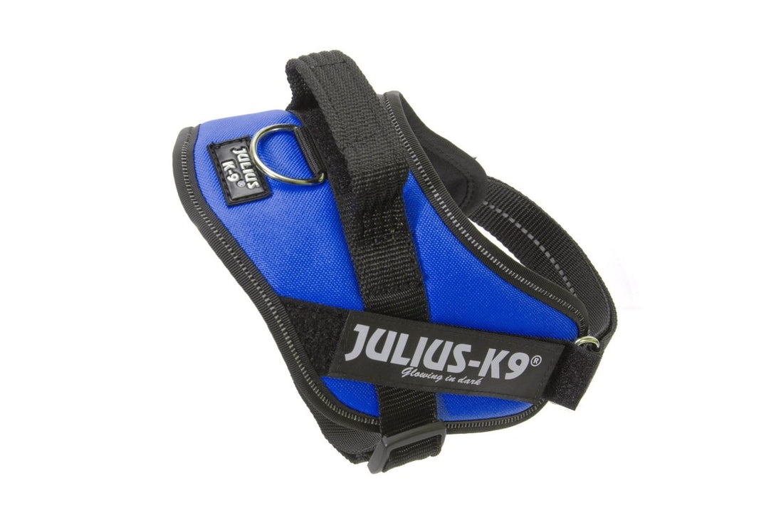 IDC POWERHARNESS - BLUE / SIZE MINI - Shopivet.com