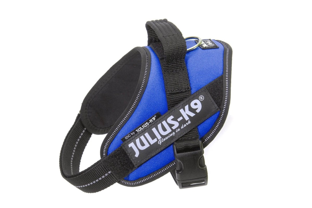 IDC POWERHARNESS - BLUE / SIZE MINI - Shopivet.com