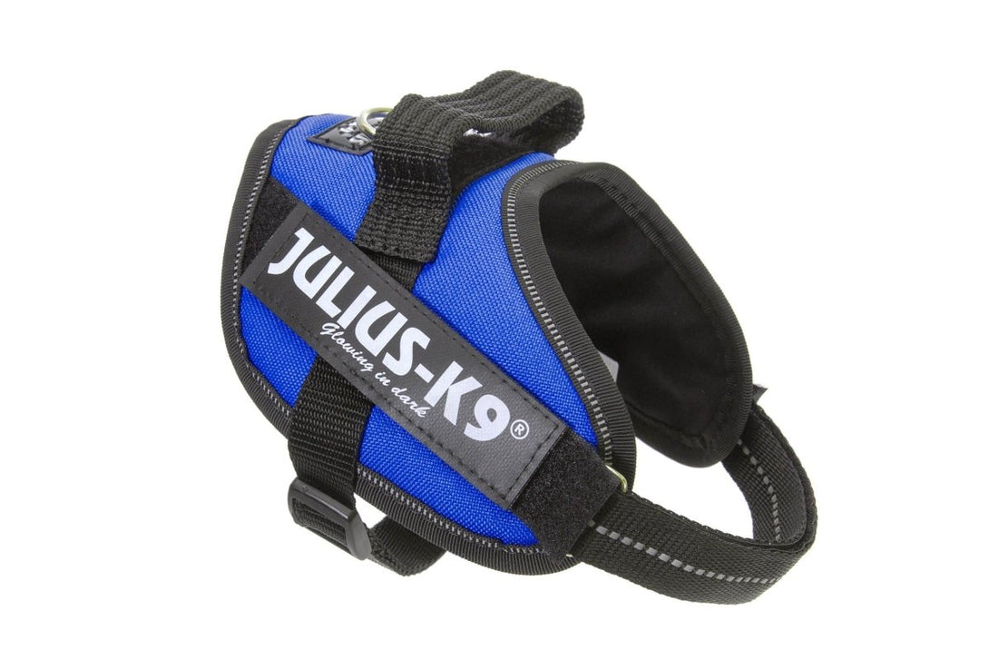 IDC POWERHARNESS - BLUE / SIZE MINI-MINI - Shopivet.com