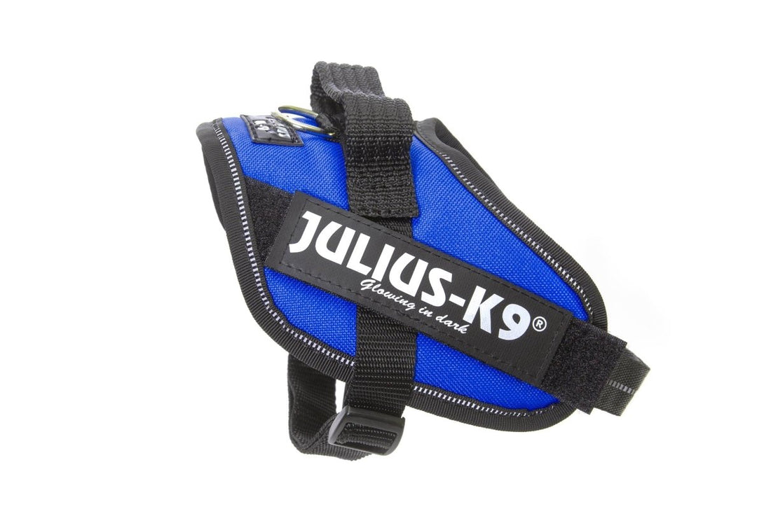 IDC POWERHARNESS - BLUE / SIZE MINI-MINI - Shopivet.com