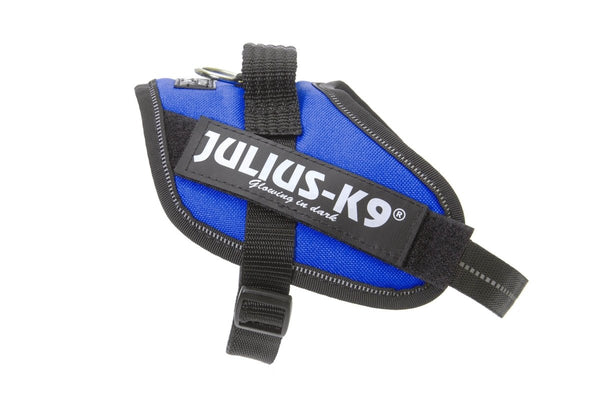 IDC POWERHARNESS - BLUE / SIZE MINI-MINI - Shopivet.com