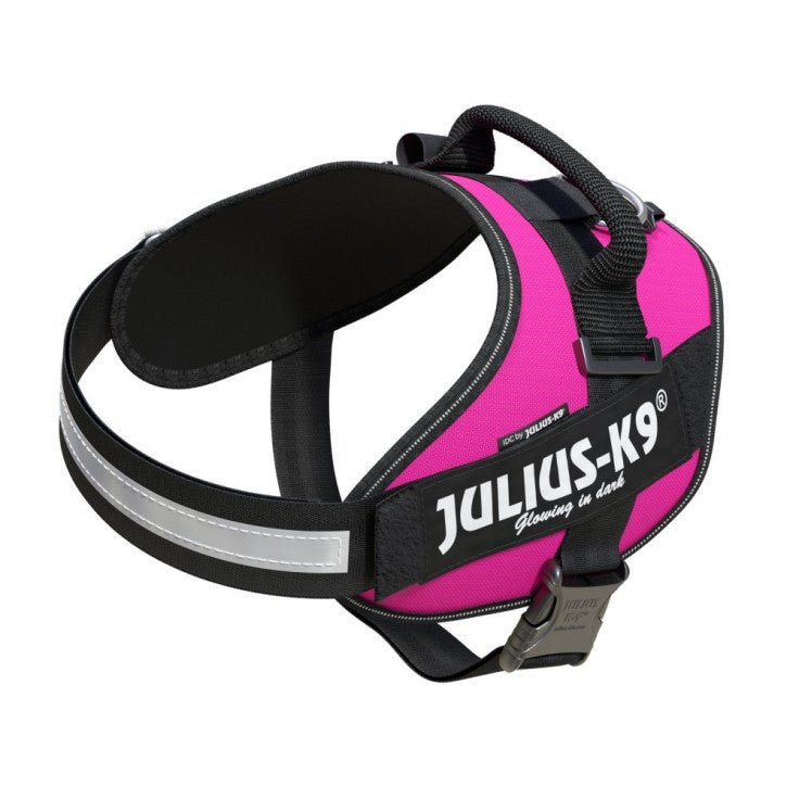 IDC POWERHARNESS - DARK PINK - Shopivet.com