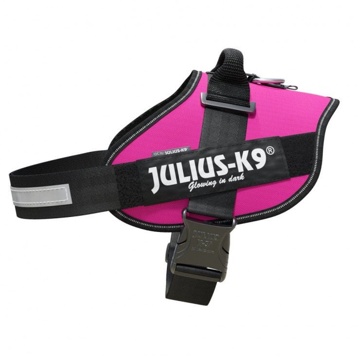 IDC POWERHARNESS - DARK PINK - Shopivet.com