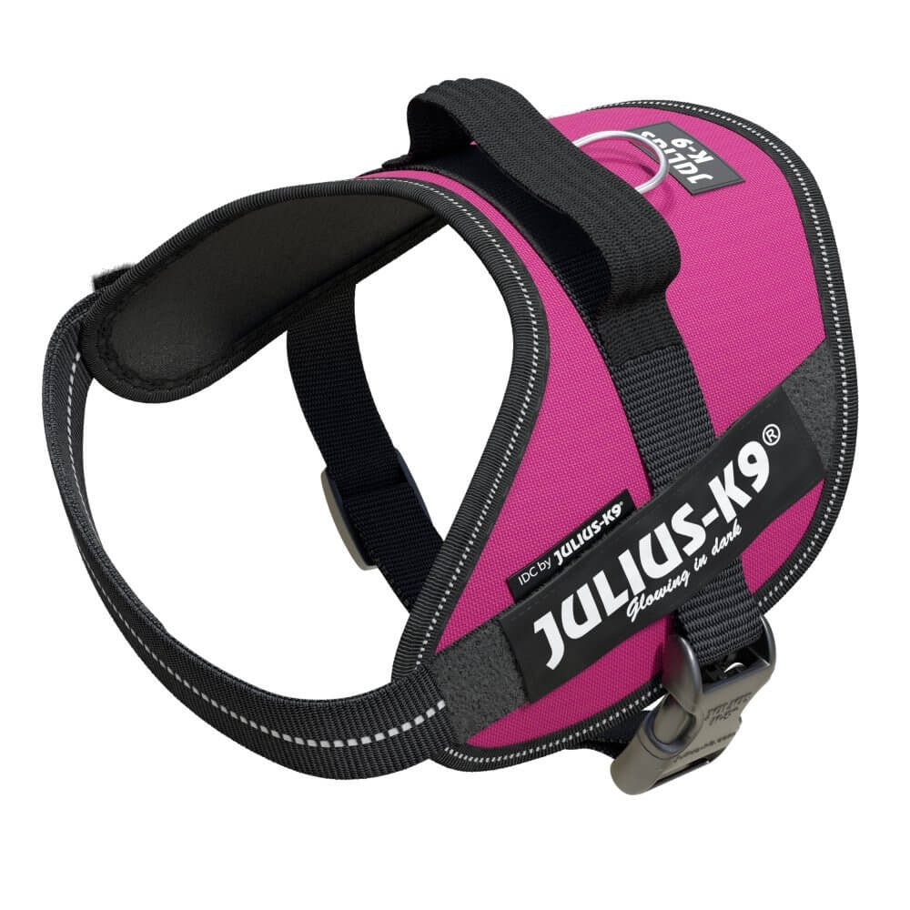 IDC POWERHARNESS - DARK PINK / SIZE MINI - Shopivet.com