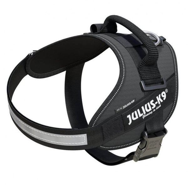 IDC POWERHARNESS - GREY / SIZE 0 - Shopivet.com