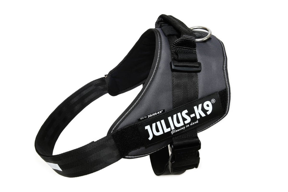 IDC POWERHARNESS - GREY / SIZE 4 - Shopivet.com