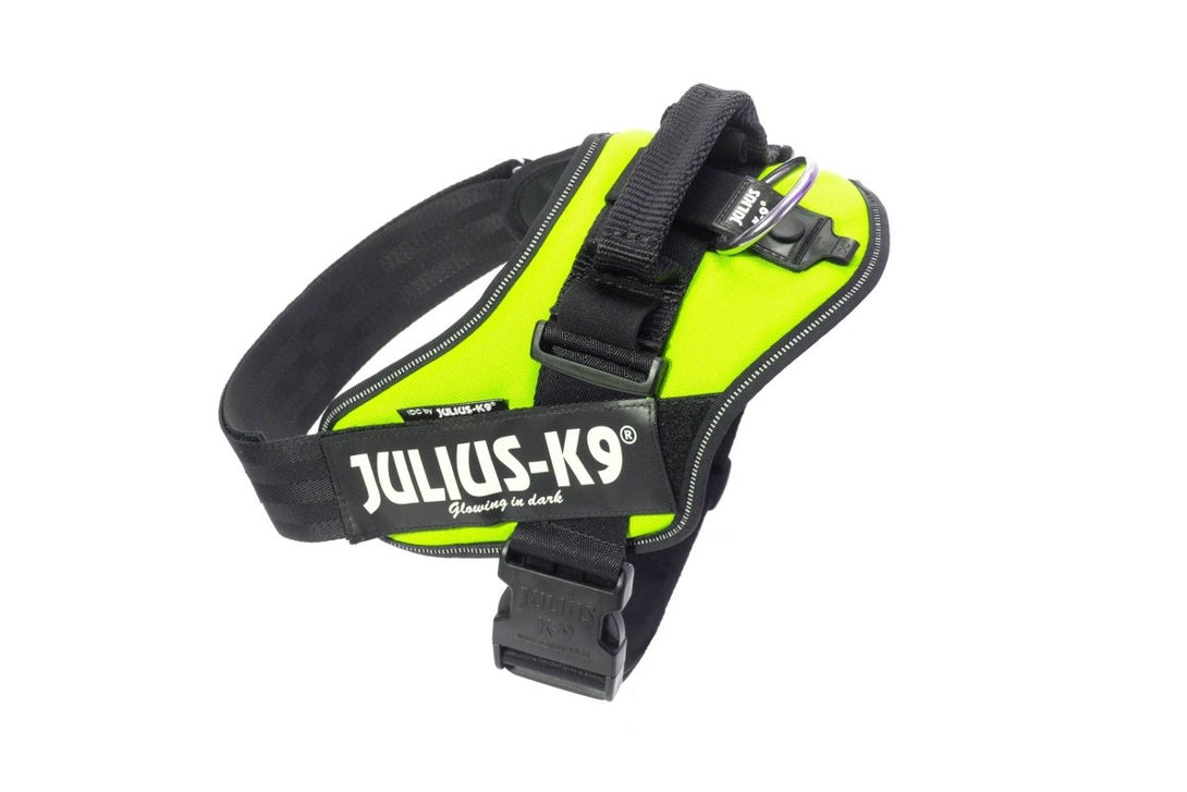 IDC POWERHARNESS - NEON GREEN - Shopivet.com