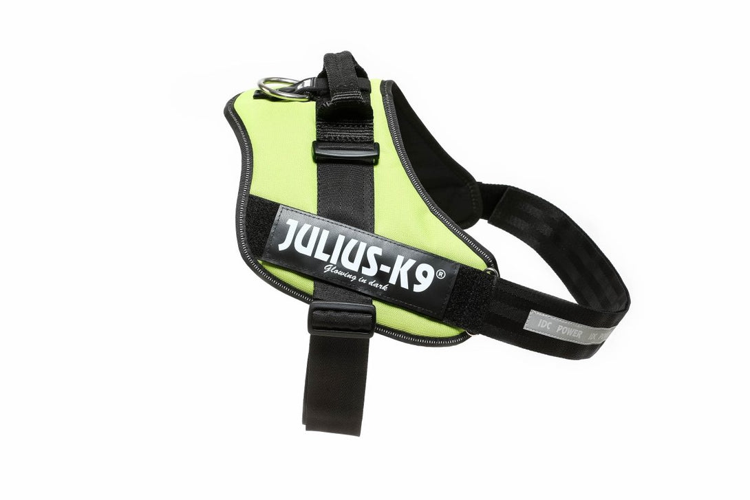 IDC POWERHARNESS - NEON GREEN / SIZE 4 - Shopivet.com