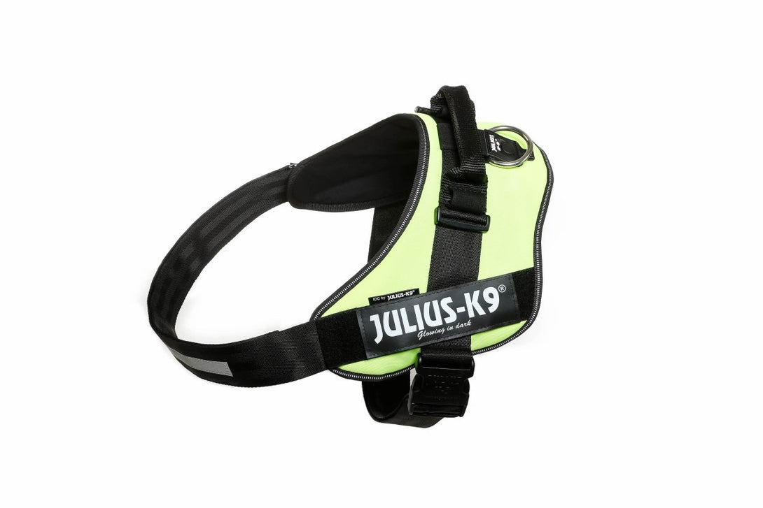 IDC POWERHARNESS - NEON GREEN / SIZE 4 - Shopivet.com