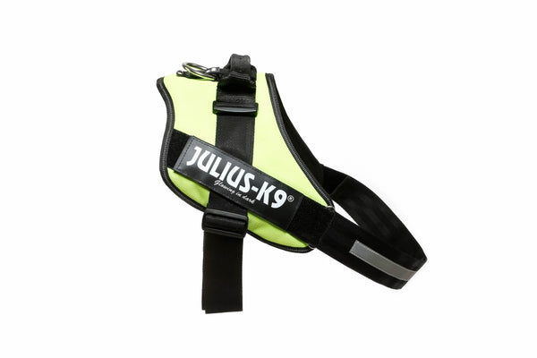 IDC POWERHARNESS - NEON GREEN / SIZE 4 - Shopivet.com