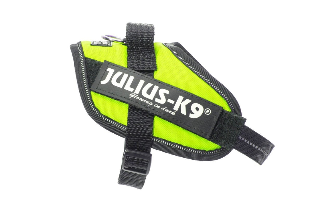 IDC POWERHARNESS - NEON GREEN / SIZE MINI-MINI - Shopivet.com