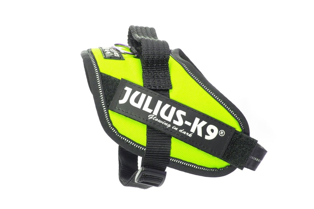 IDC POWERHARNESS - NEON GREEN / SIZE MINI-MINI - Shopivet.com