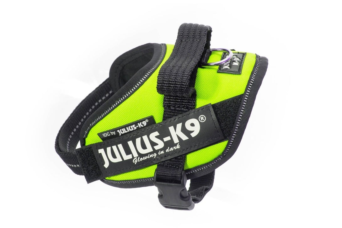 IDC POWERHARNESS - NEON GREEN / SIZE MINI-MINI - Shopivet.com