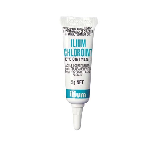 ilium Chloroint Eye Ointment 5g - Shopivet.com