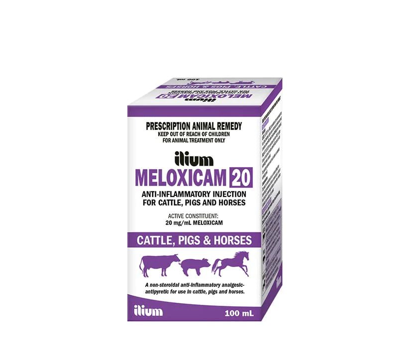 ilium Meloxicam 20 Anti-Inflammatory Injection 100ml - Shopivet.com