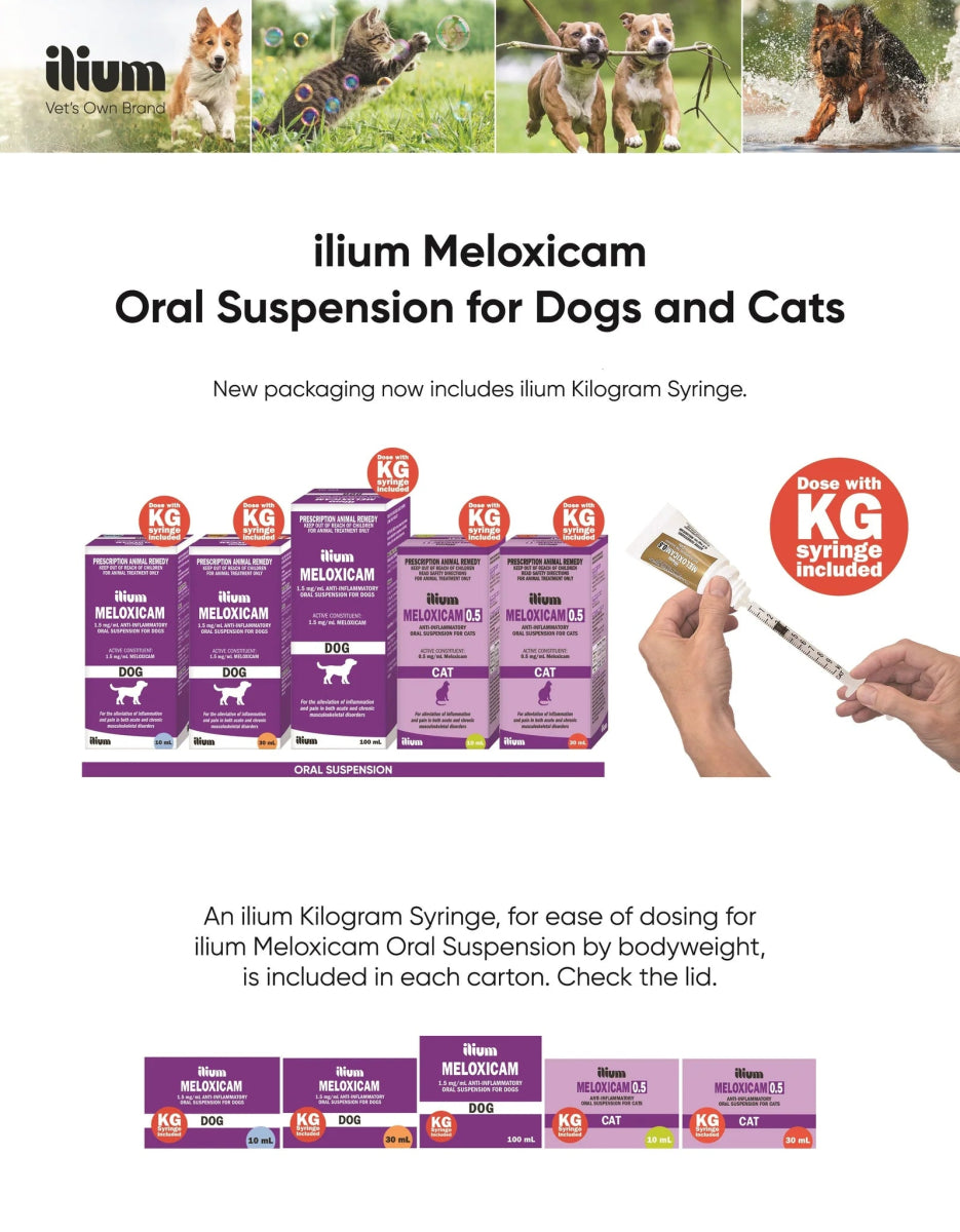 ilium Meloxicam 5 Injection 20ml - Shopivet.com