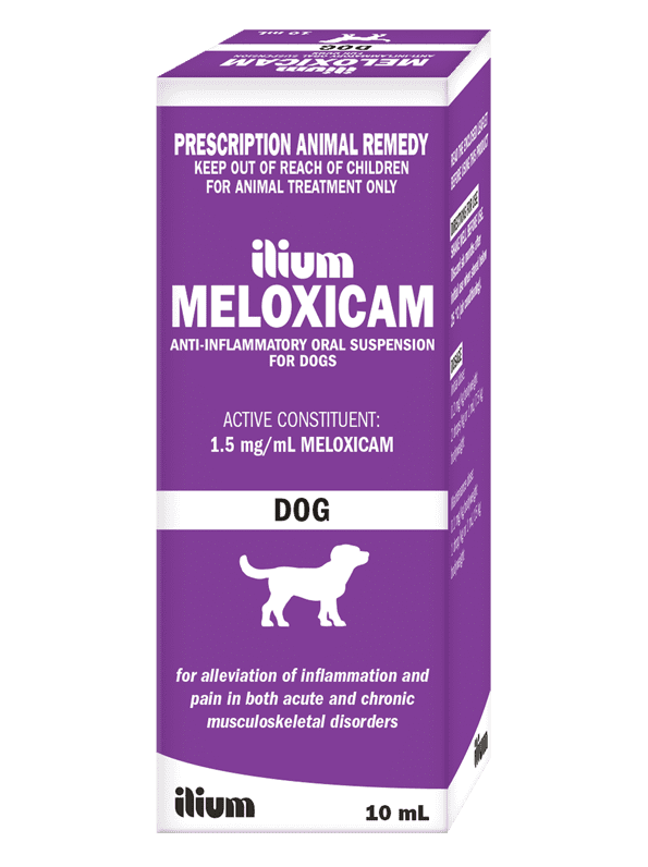 ilium Meloxicam Suspension 1.5 for Dogs 10ml - Shopivet.com