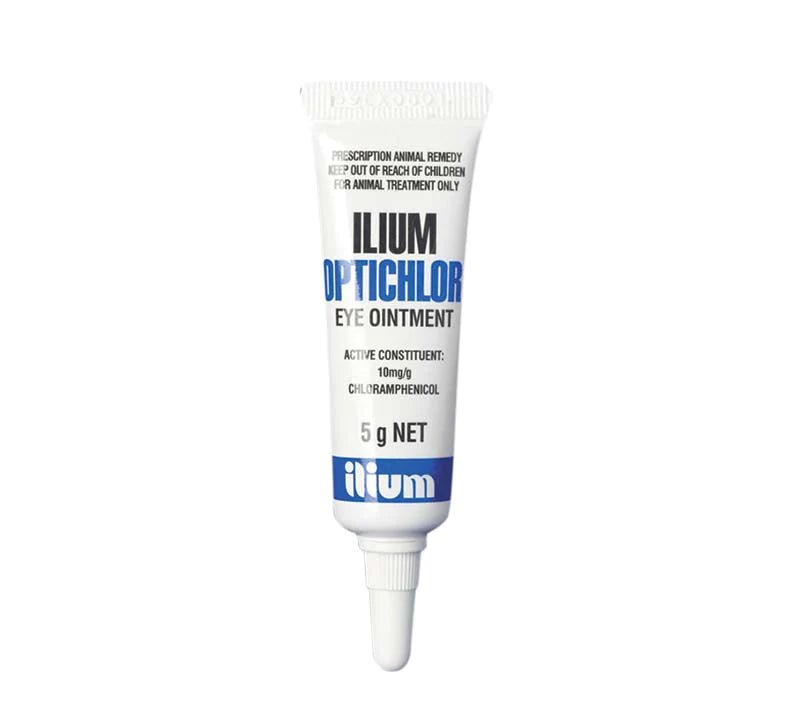 ilium Optichlor Eye Ointment 5g - Shopivet.com