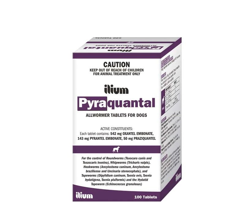 ilium Pyraquantal Allwormer 100Tablets - Shopivet.com