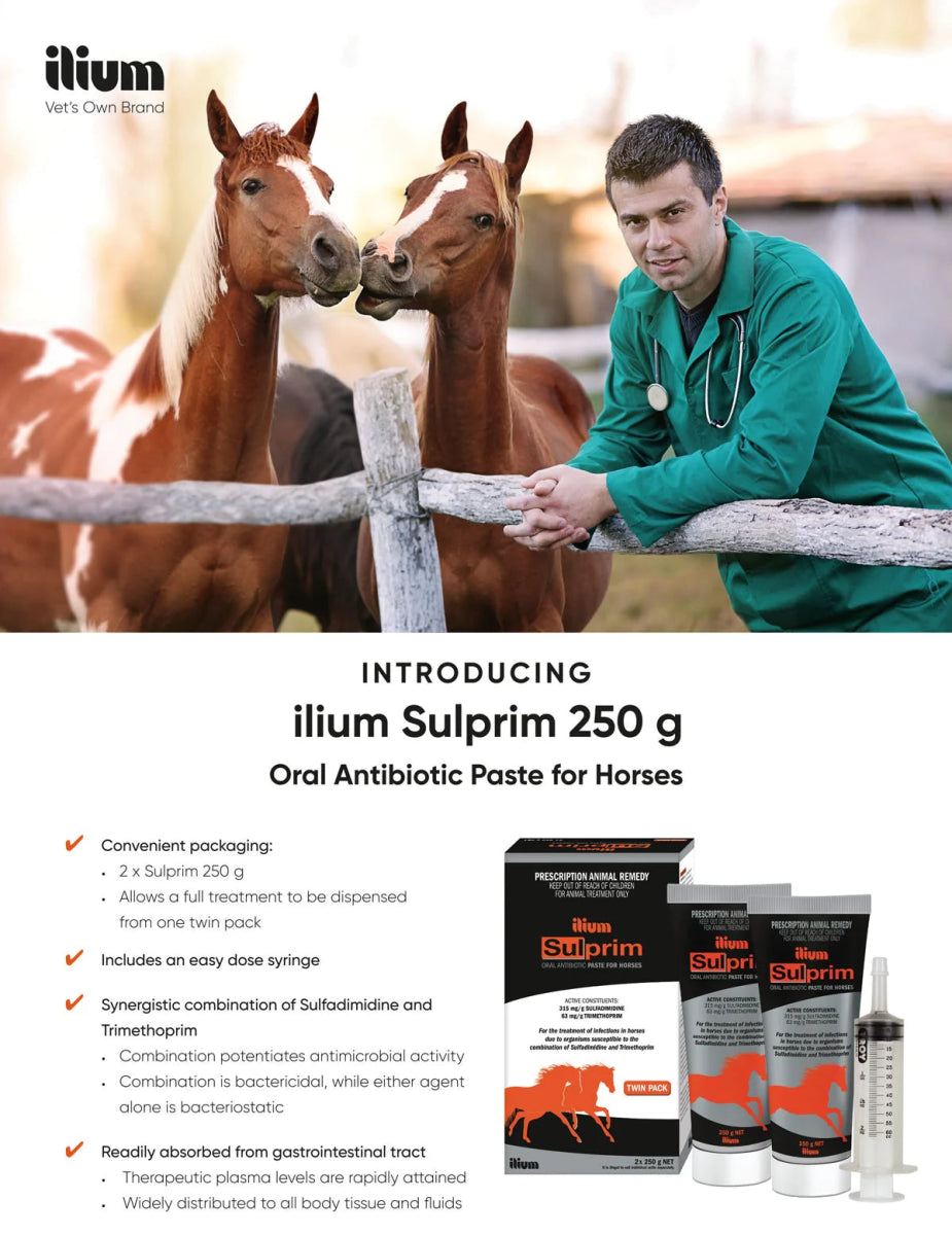 ilium Sulprim Paste 250g - Shopivet.com