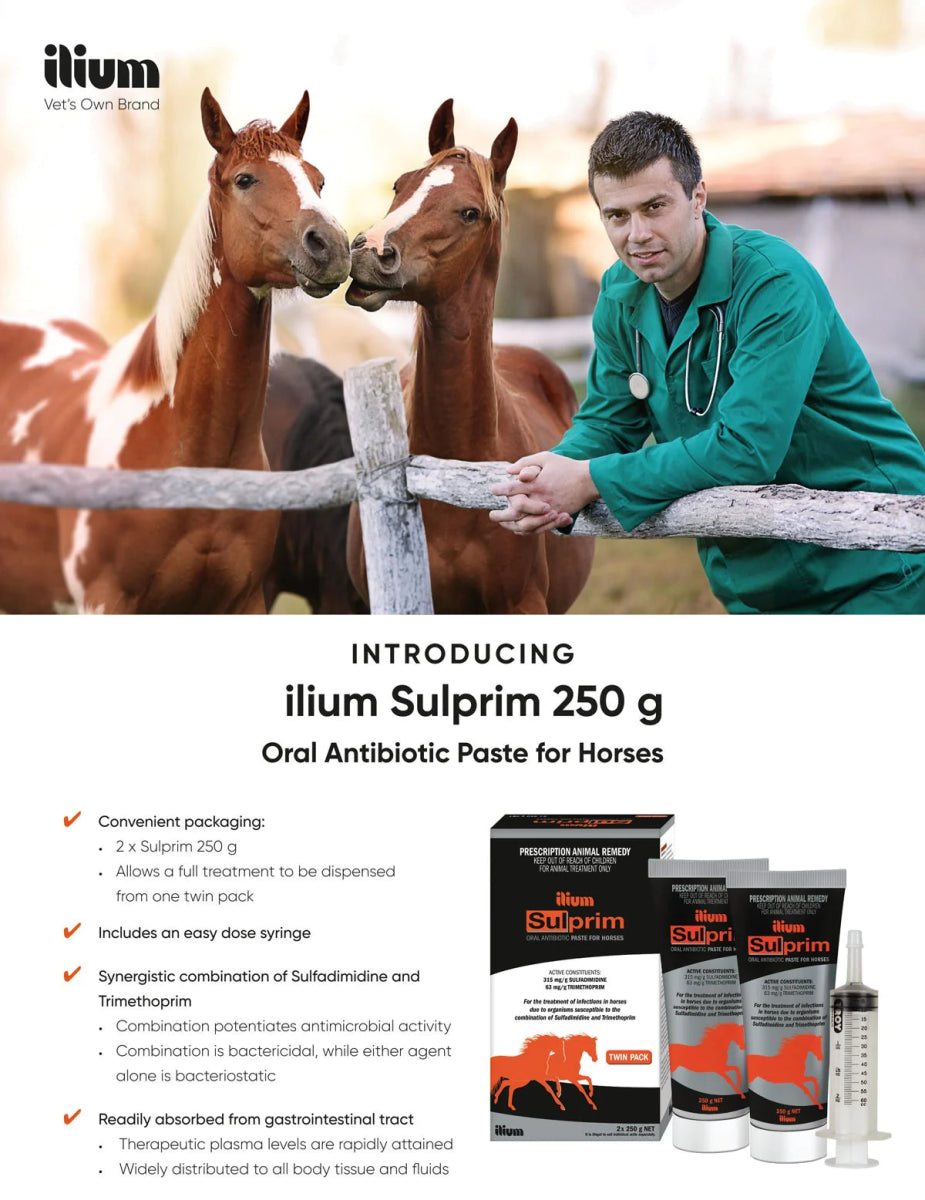 ilium Sulprim Paste 250g - Shopivet.com