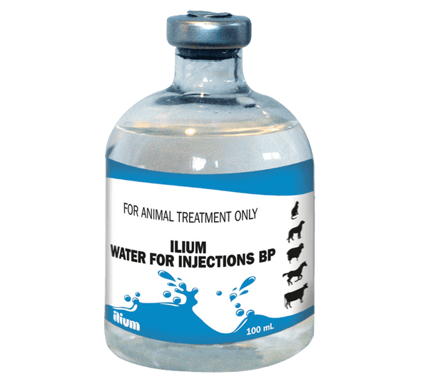 Ilium Water for Injection BP 100ml - Shopivet.com
