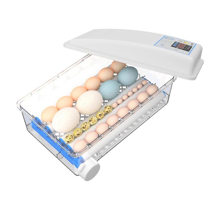 Incubator 36 eggs China - Shopivet.com