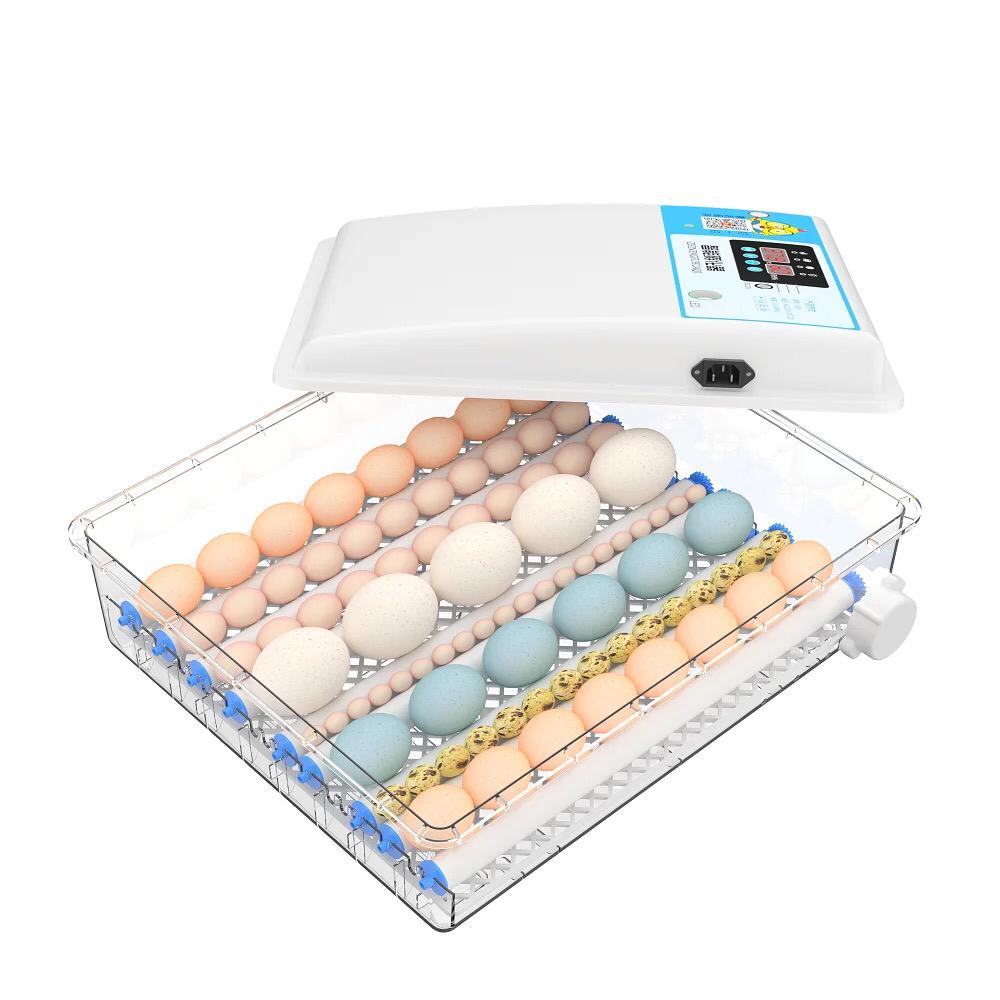 Incubator 64 egg China - Shopivet.com