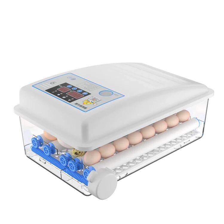 Incubator 64 egg China - Shopivet.com