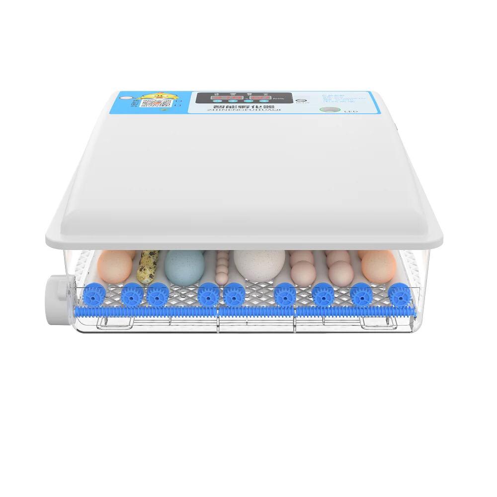 Incubator 64 egg China - Shopivet.com