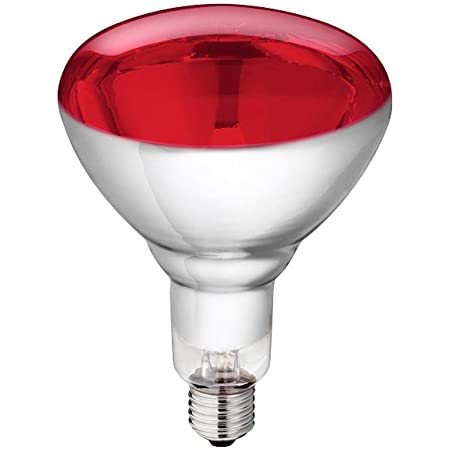 Infrared Light bulb 250W Heat Plus - Shopivet.com