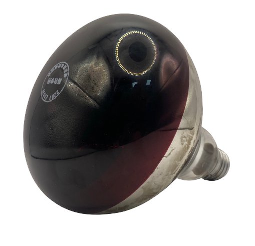 Infrared Light Lamp 150 WT - Shopivet.com